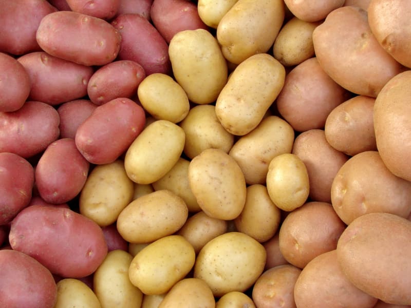How Long Do Potatoes Last? Storage & Shelf Life